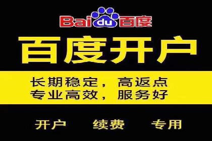 SEM运营策略案例分析